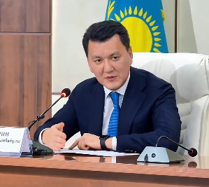 与共和国级民族文化协会负责人会晤