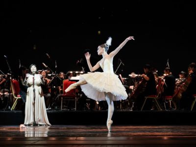 whatsapp image 20250 27 at9.14.47  