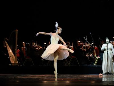 whatsapp image 2025 10 27 at.14.48