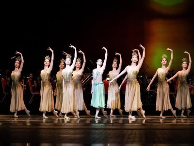 whatsapp image025 107 at 19.14.51  