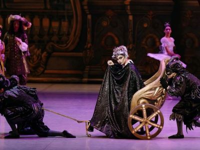 whatsapp image025 100 at3.38.39  