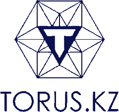 TORUS.KZ IT-компаниясымен ынтымақтастық туралы меморандум