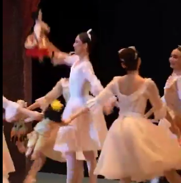 尊敬的艾格丽姆